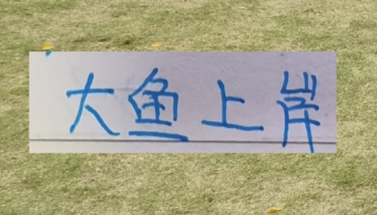 欧博登录通道-海港本土大鱼上岸了！新赛季前2轮转正不在话下吗？